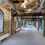 pexels-mike-van-schoonderwalt-1884800-5505931