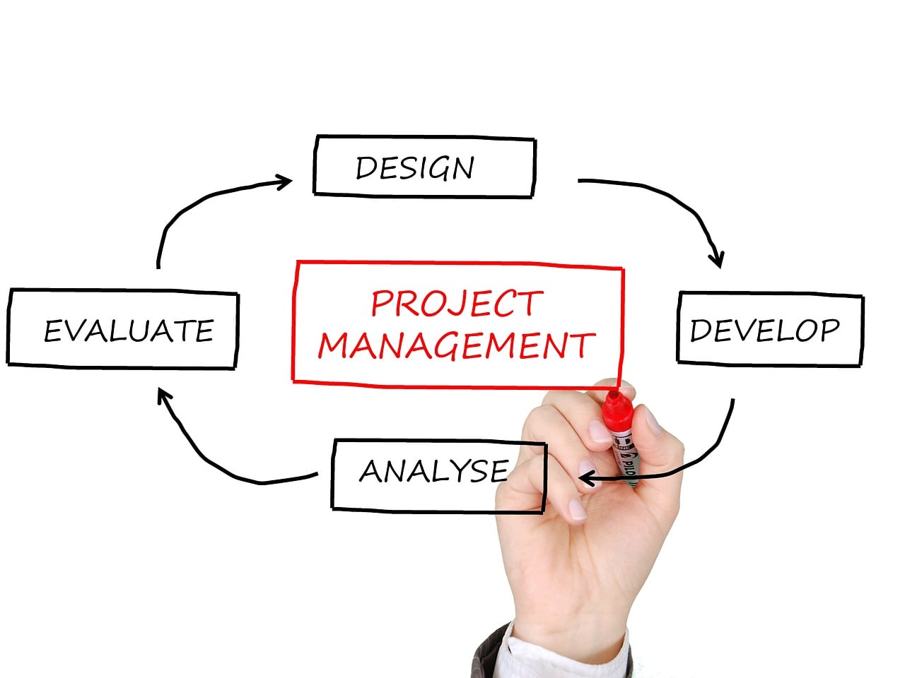 tumisu-project-management-2061635_1280